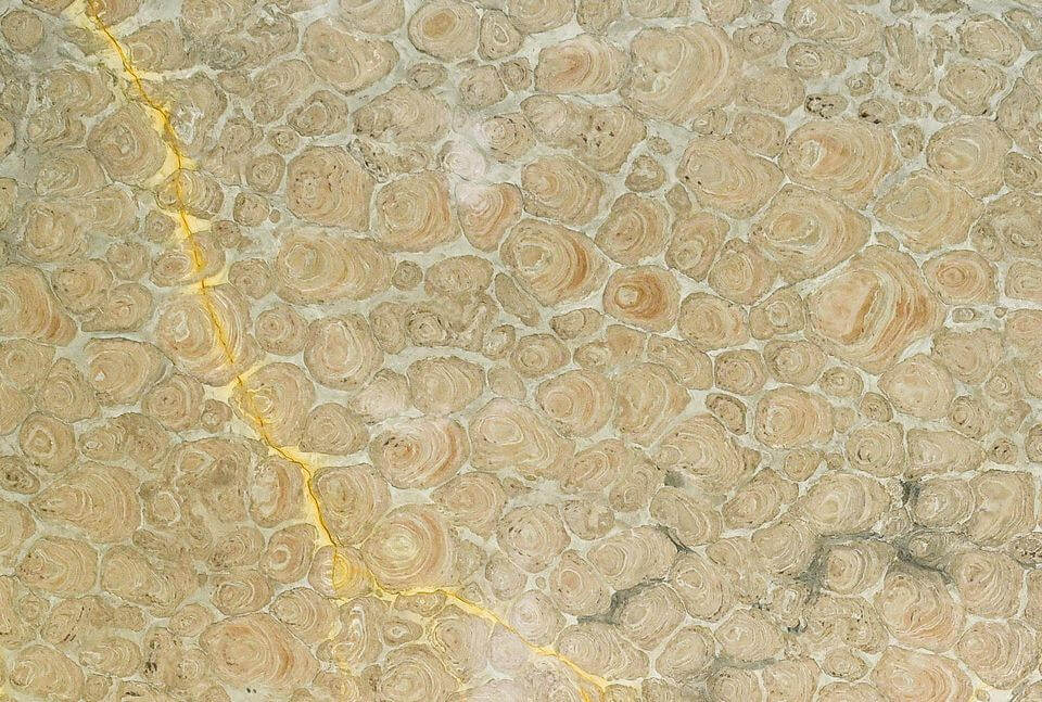 Stromatolite Signature