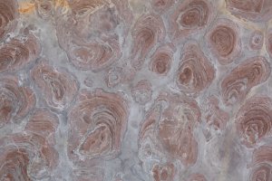 sample-block2 (f6) thumbnail 2