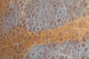 Slab #11 thumbnail 3